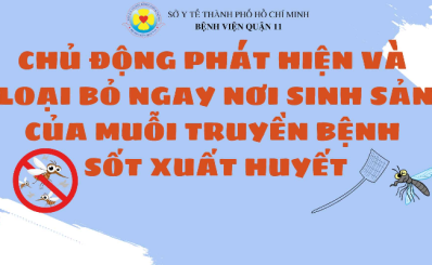 Chủ động phát hiện và loại bỏ ngay nơi sinh sản của muỗi truyền bệnh Sốt Xuất Huyết